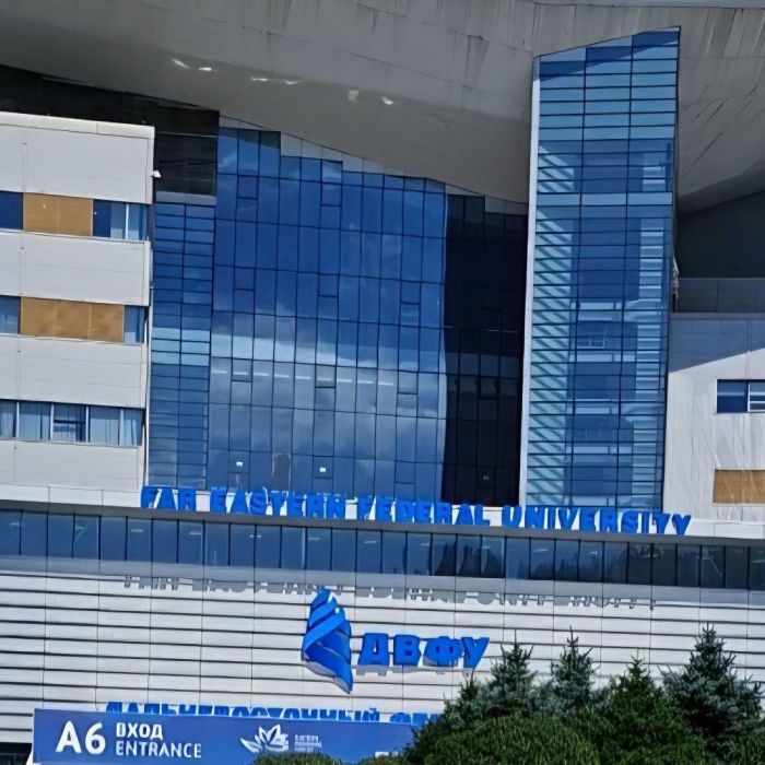 Главные итоги ВЭФ-2026