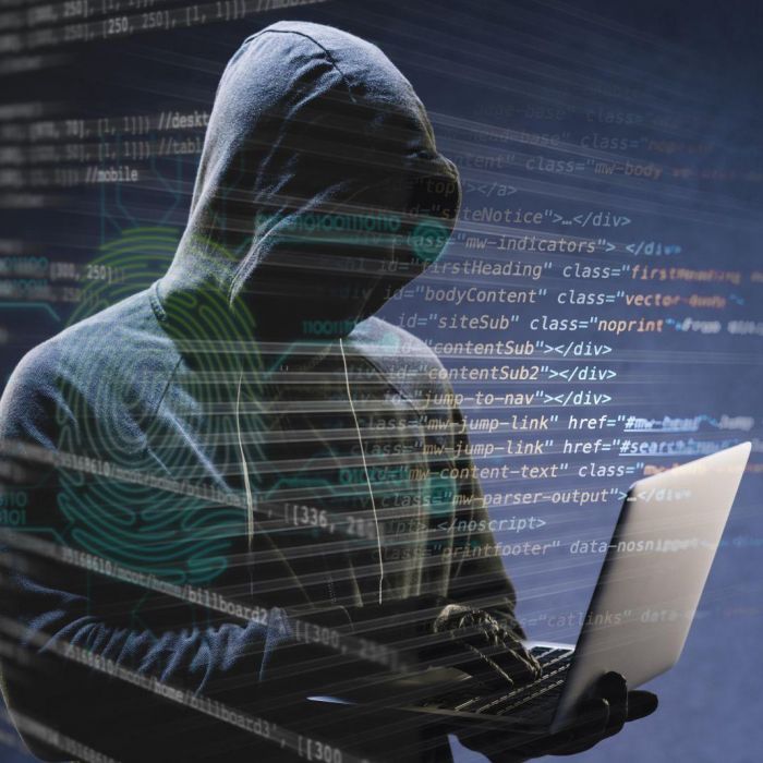 跨境网络欺诈手法趋同：中俄面临相似威胁，国际合作打击初见成效